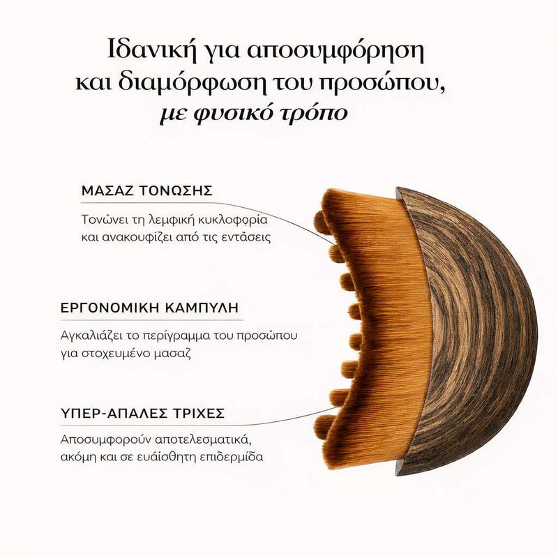 Hungary lymphatic brush